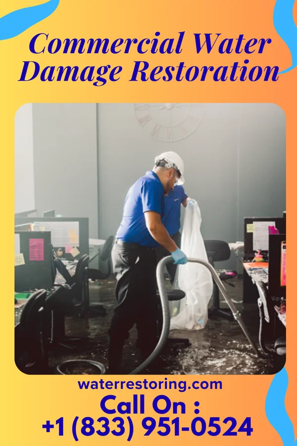 Commercial Water Damage Restoration in Marlinton, WV