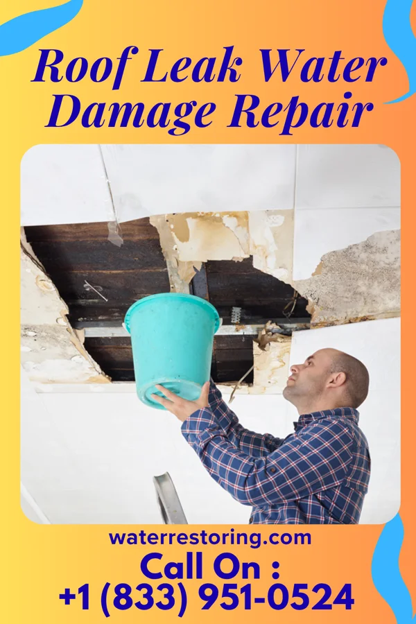 Roof Leak Water Damage Repair in Marlinton, WV